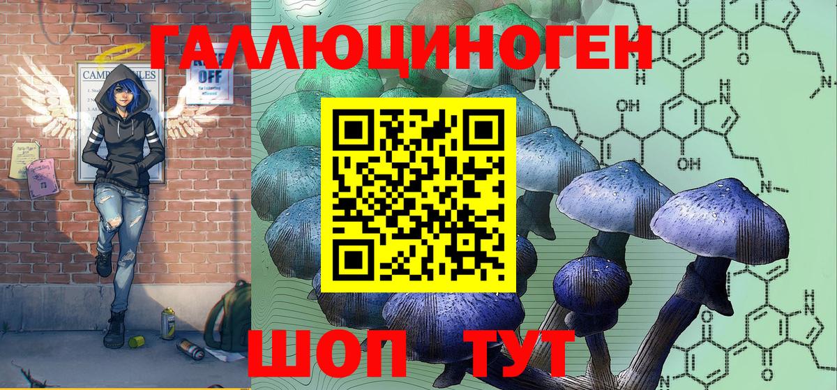 Псилоцибиновые грибы GOLDEN TEACHER Артём
